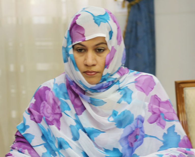 Mauritanie : vers une nouvelle classification des entreprises des travaux et des bureaux d’études afin de garantir la qualité des infrastructures 