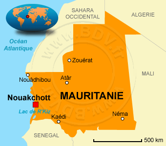 Décès d’un élève de mahadra à El Ghaïra après une morsure de serpent