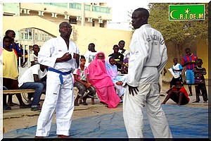 Passage au Grade supérieur : 20 taekwondoïstes passent comme une lettre à la poste - [PhotoReportage]