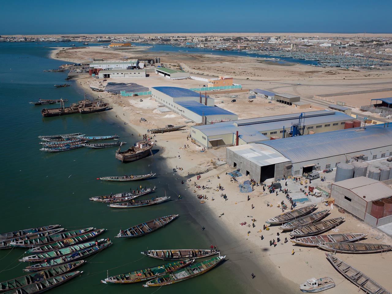 Mauritanie : polémique autour de la pêche minotière