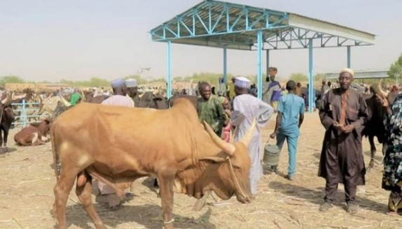 Pastoralisme au Sahel et en Afrique de l’Ouest | La Mauritanie accueille le Forum Nouakchott+10