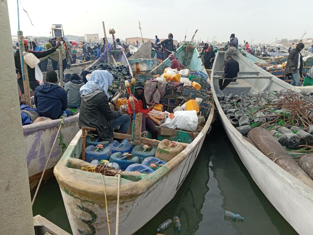 Campagne d’inspection à grande échelle des navires de pêche dès le 11 mai prochain 