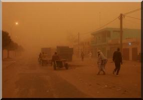 Africa Eco Race - La 11e spéciale annulée 